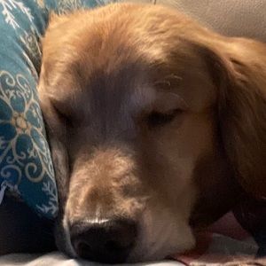 Meet your Posher, Jonathan